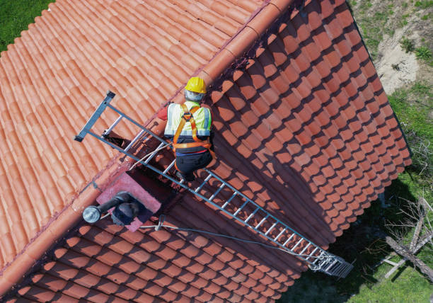 Best Roof Moss and Algae Removal  in Village Shires, PA